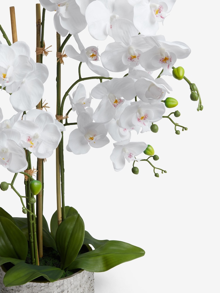 White Large Artificial Real Touch Orchid Plant In Silver Pot - Image 4 of 5