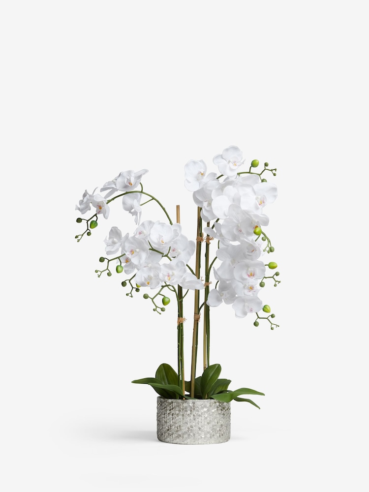 White Large Artificial Real Touch Orchid Plant In Silver Pot - Image 5 of 5
