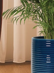 PATCH Blue Sharon Parlour Plam Plant Large Ceramic Glazed Pot - Image 2 of 4