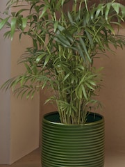PATCH Green Sharon Parlour Plam Plant Large Ceramic Glazed Pot - Image 2 of 4