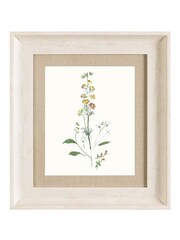 Voyage Yellow Bonnie Flower Birch Framed Print - Image 2 of 2