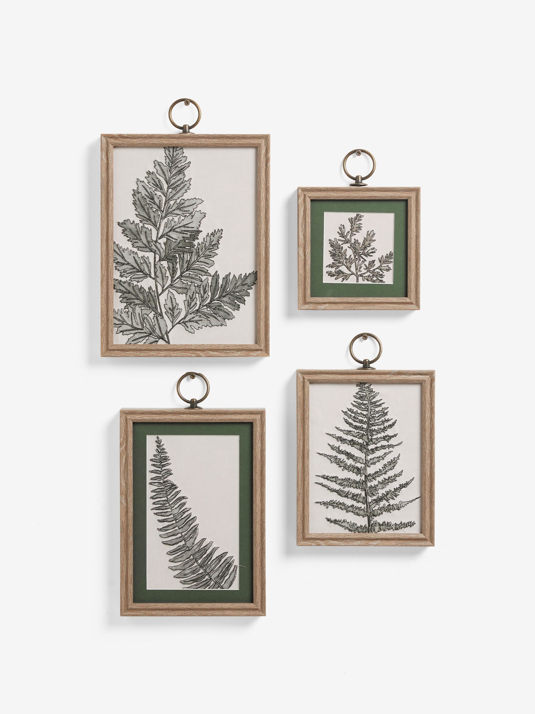 Buy Set of 4 Green Botanical Framed Wall Art from Next Canada