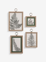 Set of 4 Green Botanical Framed Wall Art - Image 4 of 5