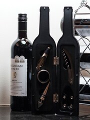 MenKind Wine Bottle Accessory Set - Image 1 of 4