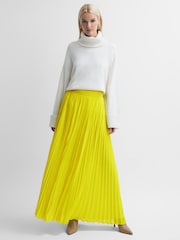 Florere Pleated Maxi Skirt - Image 1 of 5