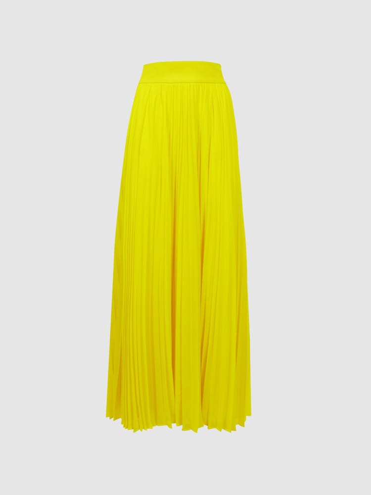 Florere Pleated Maxi Skirt - Image 2 of 5 Florere Pleated Maxi Skirt - Image 2 of 5
