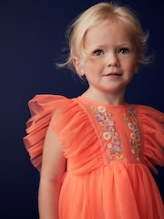 Coral Pink Embroidered Mesh Party Dress (3mths-10yrs) - Image 2 of 6