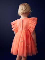 Coral Pink Embroidered Mesh Party Dress (3mths-10yrs) - Image 3 of 6