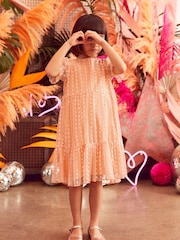 Apricot Pastel Orange Next Tiered Tulle Dress (3-16yrs) - Image 2 of 6