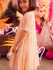 Apricot Pastel Orange Next Tiered Tulle Dress (3-16yrs) - Image 3 of 6