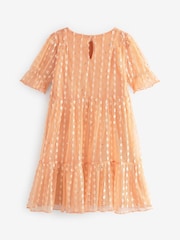 Apricot Pastel Orange Next Tiered Tulle Dress (3-16yrs) - Image 6 of 6