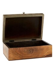 Fifty Five South Bowerbird Metallic Large Trinket Box - Image 3 of 4