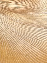Pacific Gold Decorative Dual Gingko Leaf Bowl - Image 4 of 4