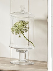 Pacific Verona Clear Glass Large Decorative Jar with Lid - Image 1 of 4