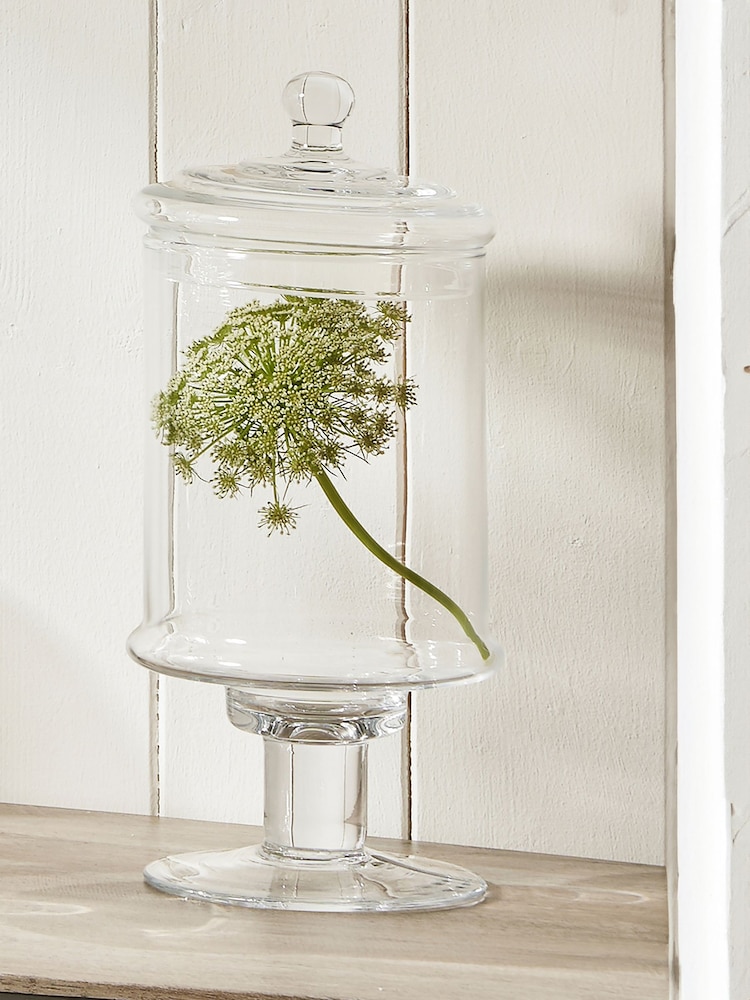 Pacific Verona Clear Glass Large Decorative Jar with Lid - Image 1 of 4