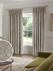 Champagne Gold Next Collection Luxe Heavyweight Maeve Damask Velvet Pencil Pleat Lined Curtains - Image 1 of 6