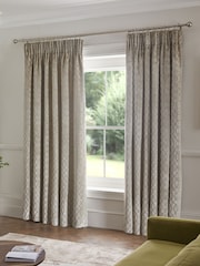 Champagne Gold Next Collection Luxe Heavyweight Maeve Damask Velvet Pencil Pleat Lined Curtains - Image 3 of 6