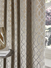 Champagne Gold Next Collection Luxe Heavyweight Maeve Damask Velvet Pencil Pleat Lined Curtains - Image 4 of 6