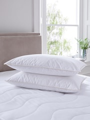 Set of 2 Soft 100% Cotton Goose Feather and Down Pillows - Image 1 of 3