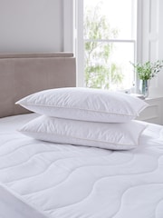 Set of 2 Soft 100% Cotton Goose Feather and Down Pillows - Image 2 of 3