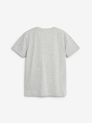 Grey Marl Regular Fit Short Sleeve T-Shirt (3-16yrs) - Image 2 of 3