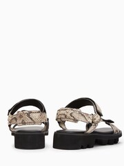 AllSaints Grey Atlanta Snake Sandals - Image 3 of 5