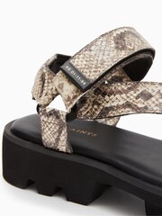 AllSaints Grey Atlanta Snake Sandals - Image 4 of 5