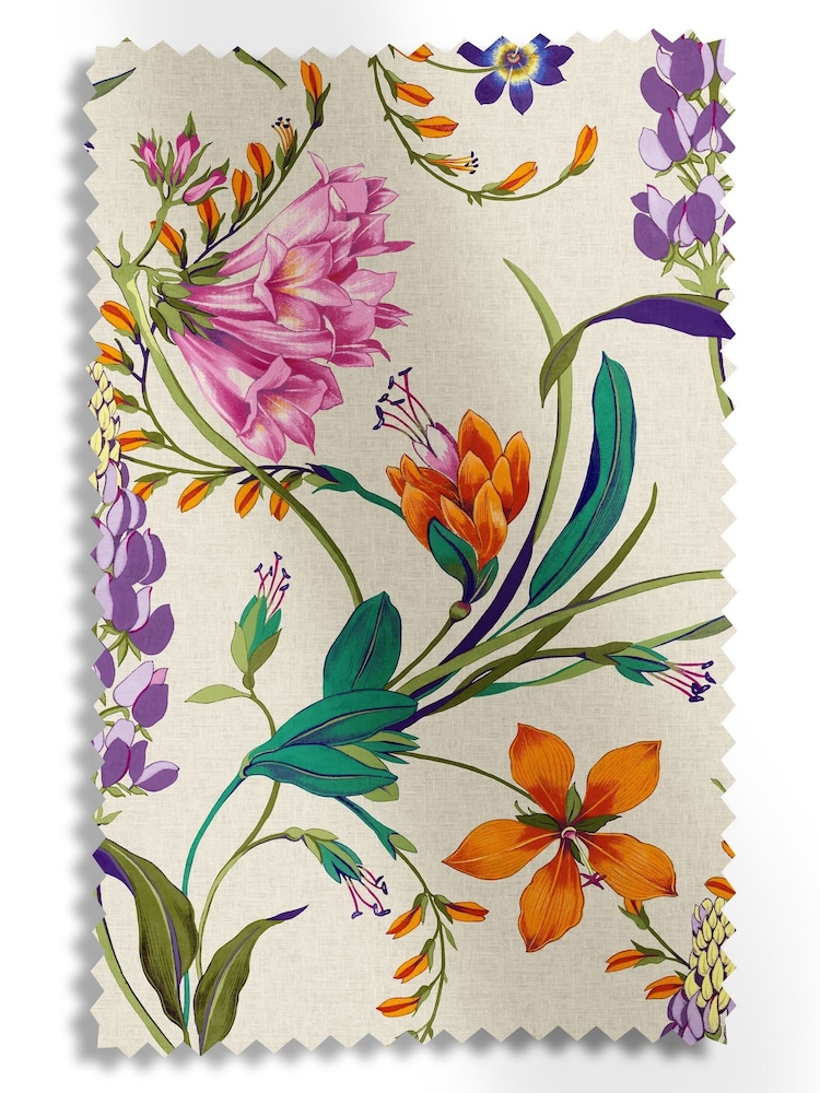 Graham & Brown Vivant Botanists Scroll Made to Measure Roman Blinds - Image 5 of 5 Graham & Brown Vivant Botanists Scroll Made to Measure Roman Blinds - Image 5 of 5