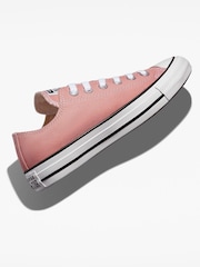 Converse Pink Chuck Ox Trainers - Image 1 of 10