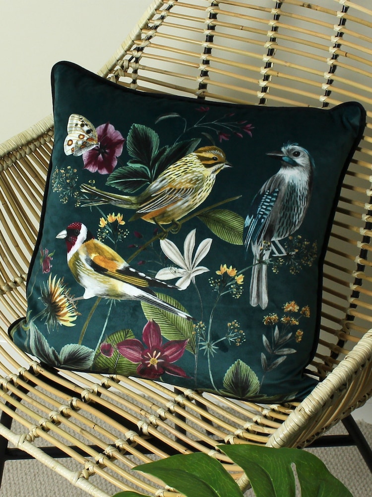 Evans Lichfield Green Multicolour Midnight Garden Birds Piped Velvet Cushion - Image 1 of 6