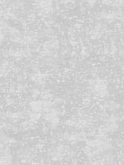 Riva Paoletti Silver Symphony Abstract Vinyl Wallpaper - Image 2 of 3