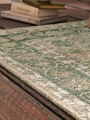 Green Land Oriental Rug - Image 3 of 6