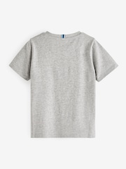 Синий/серый/белый - Футболки Baker by Ted Baker из 100% хлопка 3 в упаковке - Изображение 5 из 6