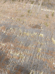 Asiatic Rugs Natural Aurora Dune Metallic Runner Rug - Image 3 of 4