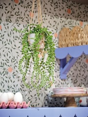 Decoris Hanging Plant in Pot - Image 1 of 2