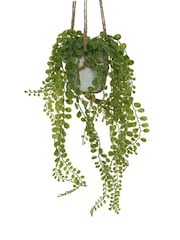 Decoris Hanging Plant in Pot - Image 2 of 2
