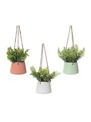 Decoris Set of 3 Hanging Artificial Plants - Image 2 of 2