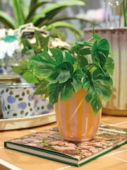 Decoris Artificial Plant - Image 1 of 2