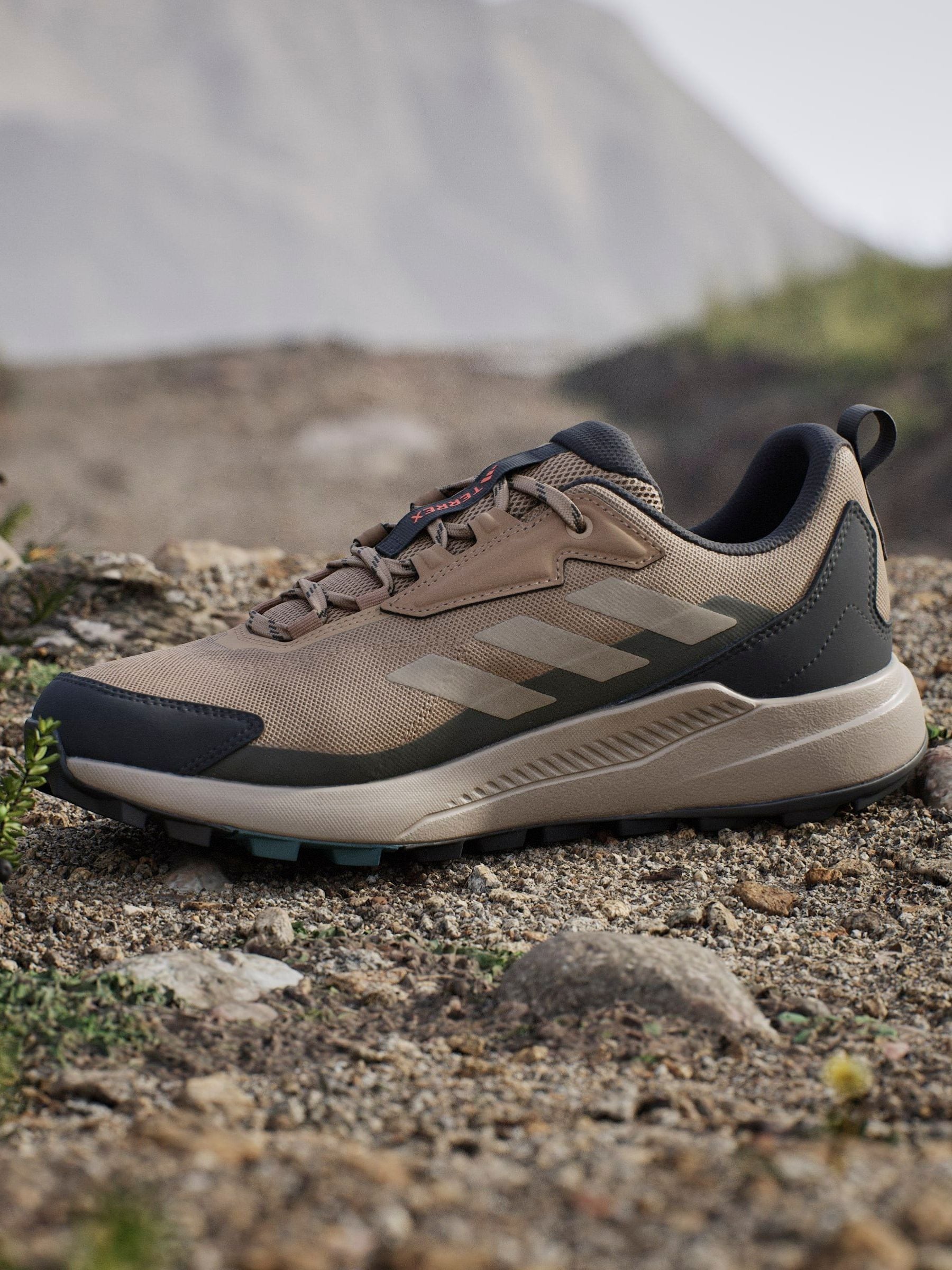 Buy adidas Terrex Brown Anylander Hiking Shoes from Next USA