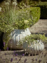 Cox & Cox Grey Two Flourette Planters - Image 1 of 4