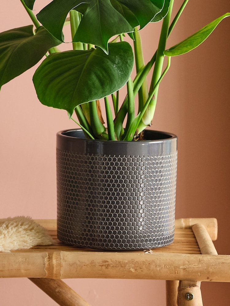 Beards & Daisies Granite Monstera & Capri Pot - Image 3 of 3
