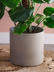 Beards & Daisies Light Green Monstera Moss Pole & Capri Pot - Image 3 of 3