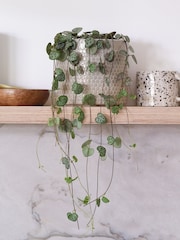 Beards & Daisies Light Green String of Hearts & Capri Pot - Image 1 of 3