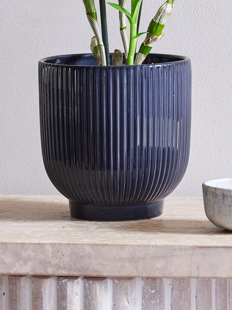 Beards & Daisies Navy Orchid & Ribbed Pot - Image 3 of 3