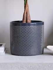 Beards & Daisies Granite Money Tree & Capri Pot - Image 4 of 4