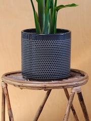 Beards & Daisies Granite Bird of Paradise & Capri Pot - Image 3 of 3