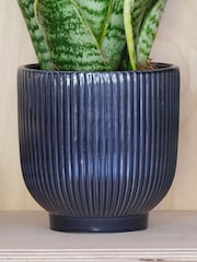 Beards & Daisies Navy Snake Plant & Ribbed Pot - Image 3 of 3
