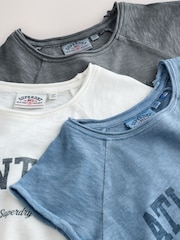 Blu/grigio - Confezione da t-shirt Superdry 3 - Immagine 7 di 8