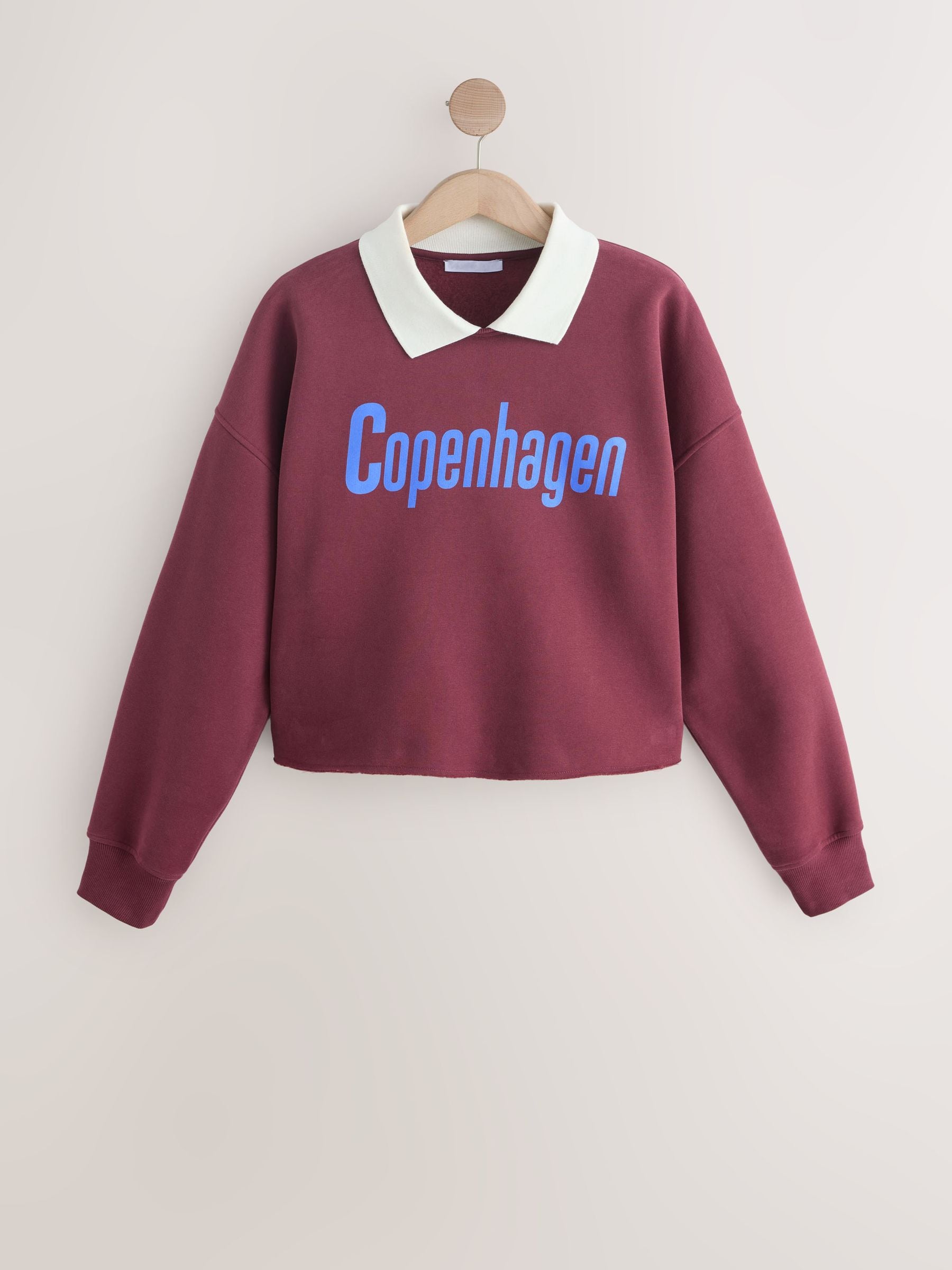Buy Burgundy Red Collared Graphic Sweatshirt from the Next UK