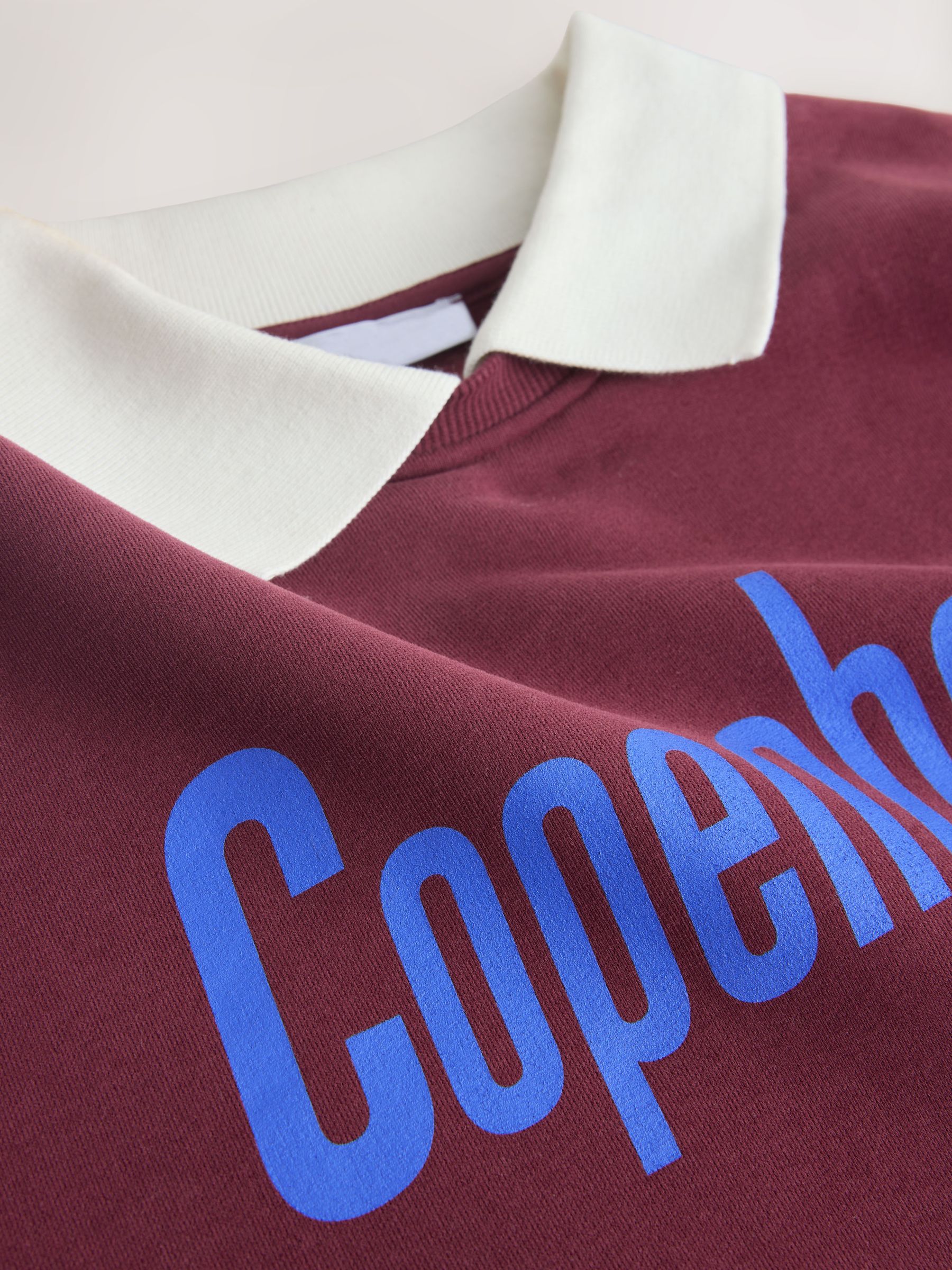 Buy Burgundy Red Collared Graphic Sweatshirt from Next USA